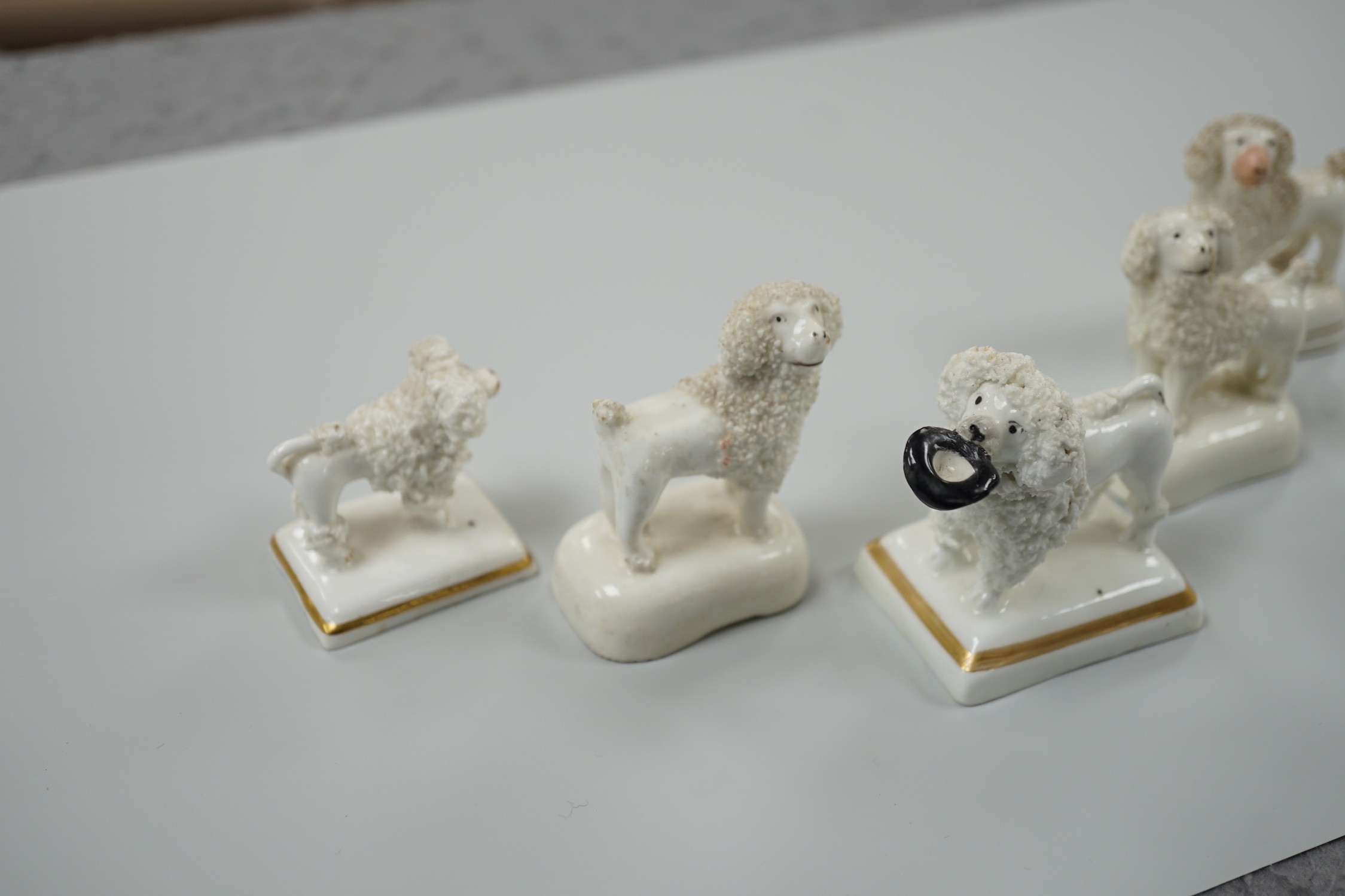 Five small Staffordshire models of poodles standing on their bases, to include a Lloyd Shelton white poodle with black muzzle, and a Lloyd Shelton white poodle with flicked tail (5), c.1830-50. Tallest 6cm, Cf. Dennis G.